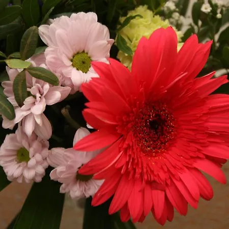 Prantner Гостевой дом 2*