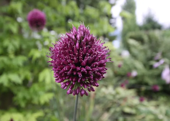 Prantner Pensión Innsbruck