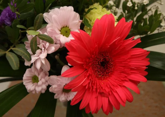 Prantner Pensión 2*